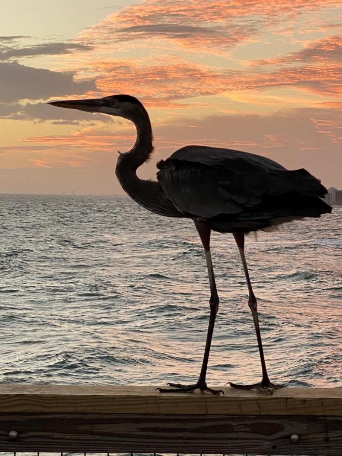 Beautiful! Sunset Harbor Condo For 2-Top Floor 1-309, Navarre Beach Экстерьер фото